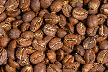 Mexico Finca La Laja Veracruz Washed (Reinne's Place)