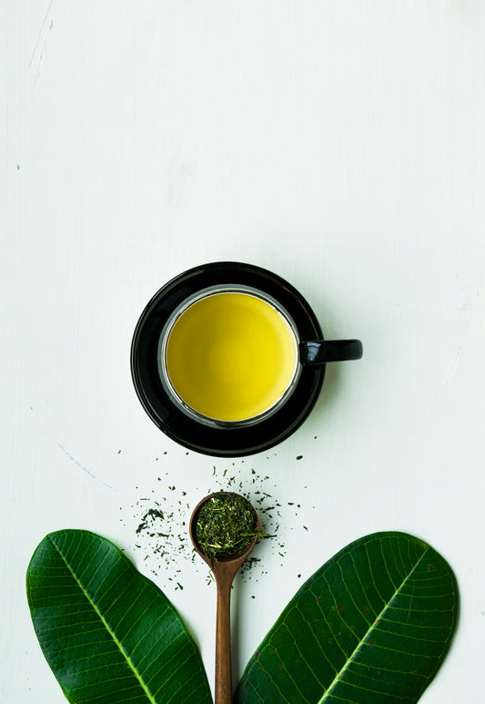 Cloud Forest - Mint Tea